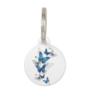 Placa Para Mascotas Morfo de las mariposas voladoras azules