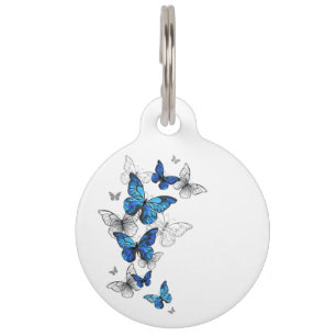 Placa Para Mascotas Morfo de las mariposas voladoras azules