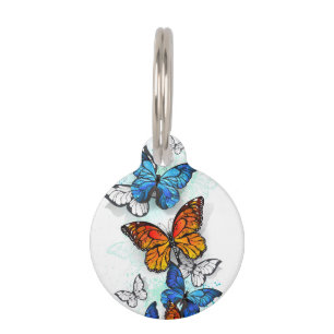 Placa Para Mascotas Morfo y monarca de las mariposas voladoras
