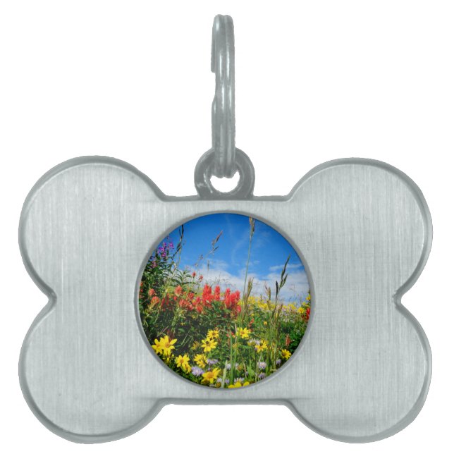 Placa Para Mascotas Mt. Flores silvestres (Frente)
