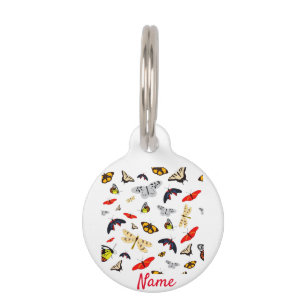 Placa Para Mascotas Muchas criaturas aladas Thunder_Cove