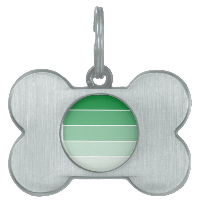 Placa Para Mascotas Muestras de pintura verde brillante (Frente)