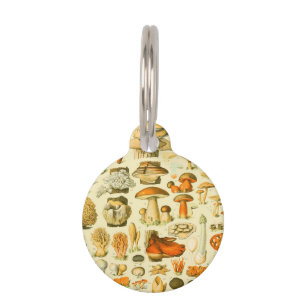 Placa Para Mascotas Mushroom Vintage Toadstool Ilustracion antiguo