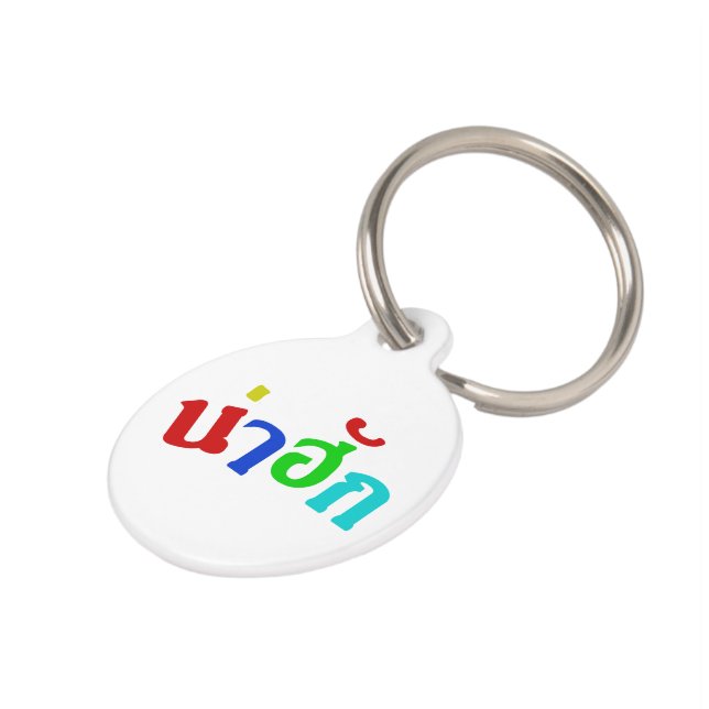Placa Para Mascotas ♦ Náhuk en idioma dialecto tailandés (Lateral)