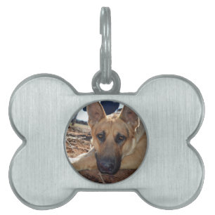 Placa Para Mascotas Napas de gatos de pastor alemán, etiqueta de hueso