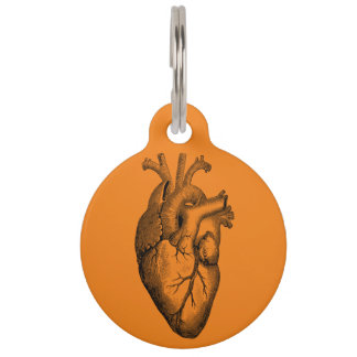Placa Para Mascotas Naranja Científico de Anatomía Cardíaca