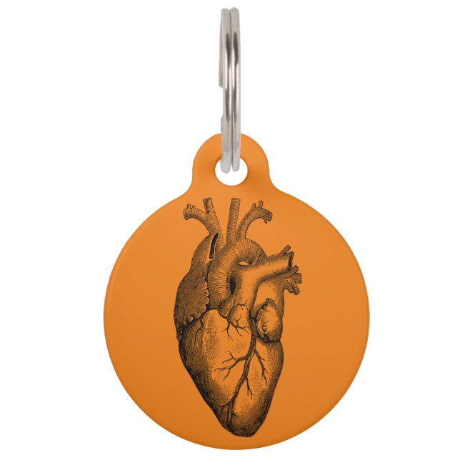 Placa Para Mascotas Naranja Científico de Anatomía Cardíaca (Anverso)