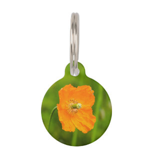 Placa Para Mascotas Naranja Flor De Adormidera Nombre De Foto Y Número