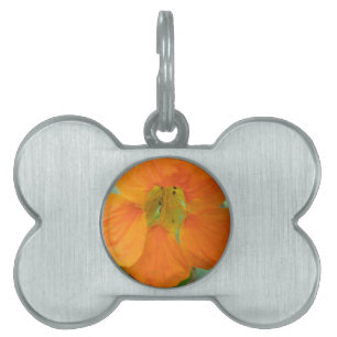 Placa Para Mascotas Naranja Nasturtium Flower Pet Tag