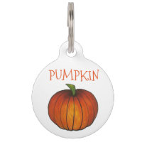 Naranja Pumpkin parche Acción de Gracias Halloween