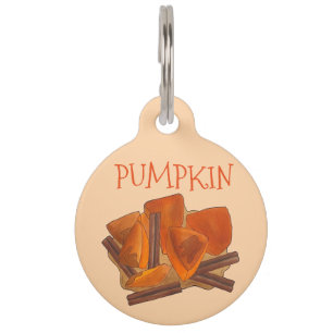 Placa Para Mascotas Naranja Pumpkin parche Acción de Gracias Halloween