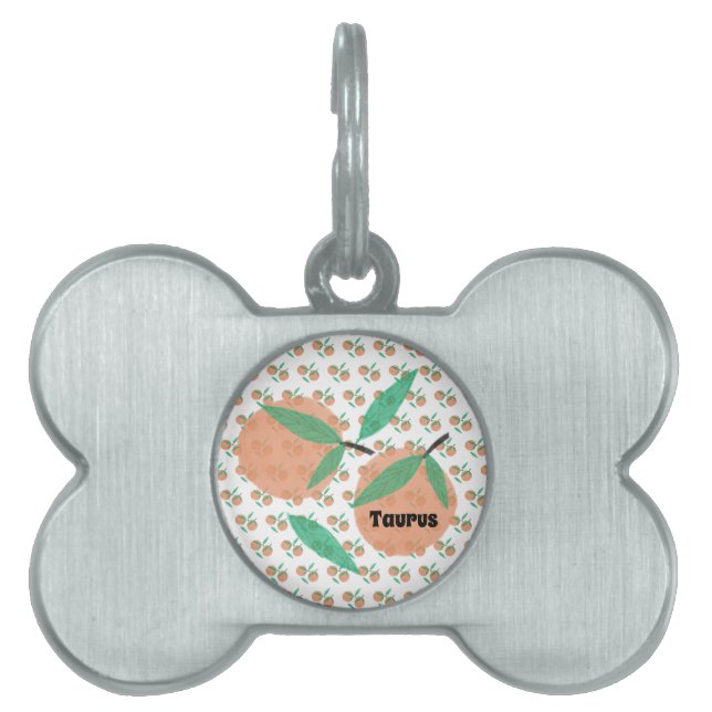 Placa Para Mascotas Naranjas Leaf Hand Drake Pattern Fruit (Frente)