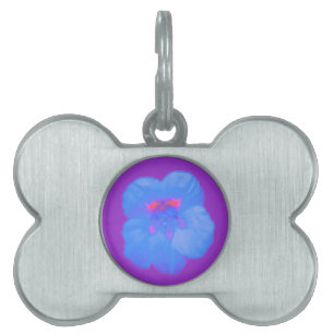 Placa Para Mascotas Nasturtium Bright Blue Pet Etiqueta