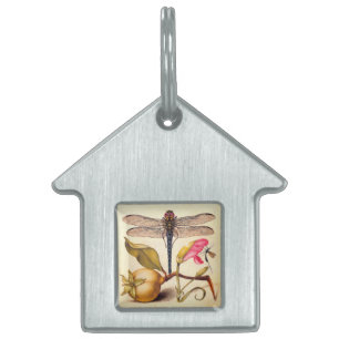 Placa Para Mascotas Naturaleza Botánica Libélula Arte Hoefnagel