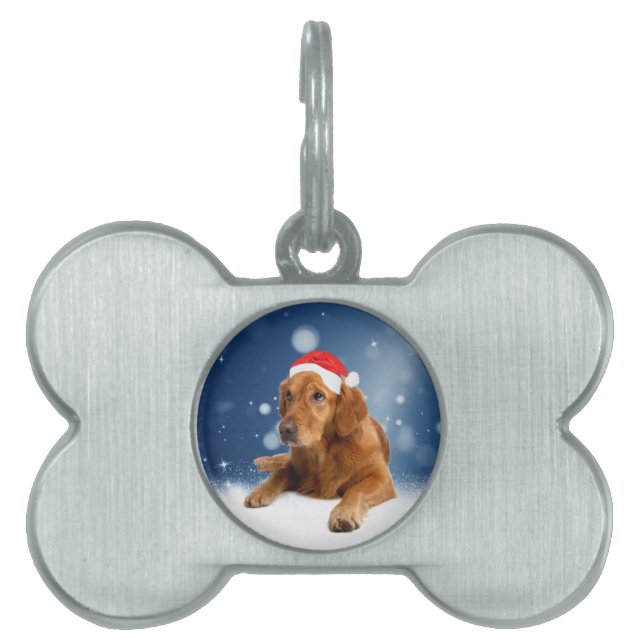 Placa Para Mascotas Navidades adoran la nieve del perro de Santa Hat (Frente)