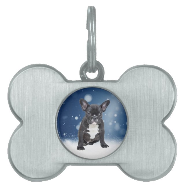 Placa Para Mascotas Navidades azules de cuscús estrellas de la nieve d (Frente)
