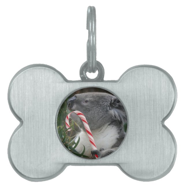 Placa Para Mascotas Navidades Candy Cane Koala (Frente)