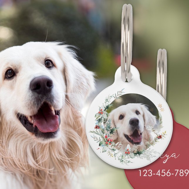 Placa Para Mascotas Navidades corean foto de mascota (Subido por el creador)