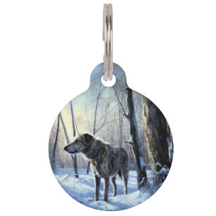 Placa Para Mascotas Navidades irlandeses de Wolfhound Dejan Que Nieva