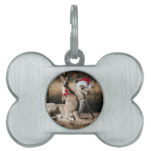 Placa Para Mascotas Navidades Kangaroos al estilo australiano