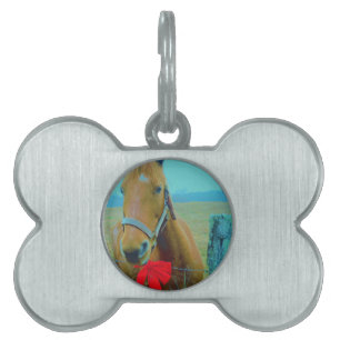 Placa Para Mascotas navidades retro Caballo