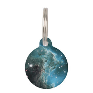 Placa Para Mascotas Nebulosa de la Cabeza de Mono de Color Azul Turque