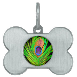 Placa Para Mascotas Neon Colors Peacock Feather