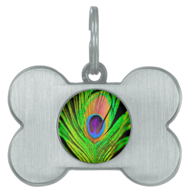Placa Para Mascotas Neon Colors Peacock Feather (Frente)