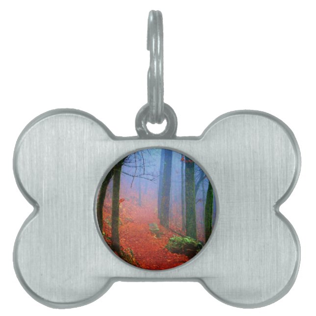 Placa Para Mascotas Niebla azul del otoño del bosque pintado (Frente)