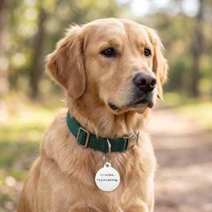 Placa Para Mascotas No Estoy Perdido Estoy Explorando