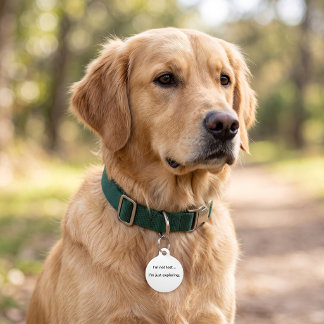 Placa Para Mascotas No Estoy Perdido Estoy Explorando