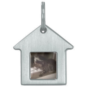 Placa Para Mascotas No hablar contigo Dave House Pet Tag