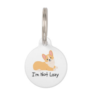Placa Para Mascotas No soy memes de perro perezoso