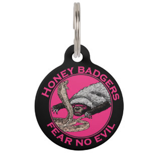 Placa Para Mascotas No tema ningún arte rosado malvado del animal de