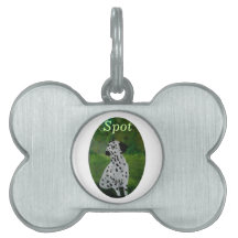 Nombran pintura de perro de Dalmacia