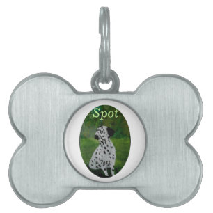 Placa Para Mascotas Nombran pintura de perro de Dalmacia
