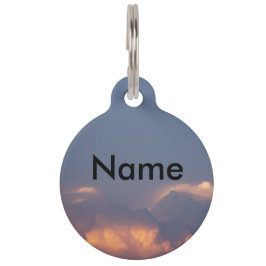 Placa Para Mascotas Nombre adaptable, teléfono, calle, ciudad,