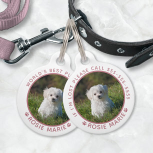Placa Para Mascotas Nombre de foto de perro lindo Huellas de patas Per