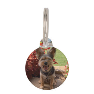 Placa Para Mascotas Nombre de foto Personalizado personalizado Teléfon