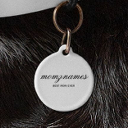 Placa Para Mascotas Nombre de mejor caligrafía de mamá de todos los ti (Subido por el creador)