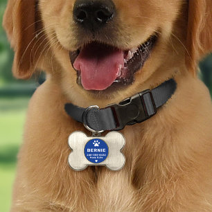 Placa Para Mascotas Nombre de perro personalizado moderno azul