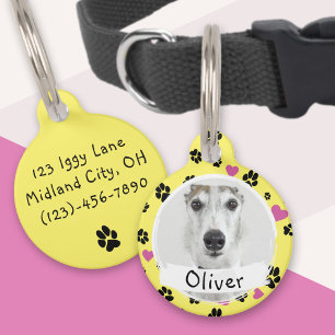 Placa Para Mascotas Nombre del perro Foto personalizada Huellas de pat
