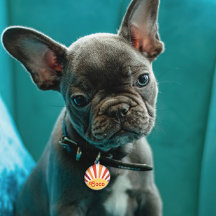 Nombre personalizado de Retro Sunset Sun Rays