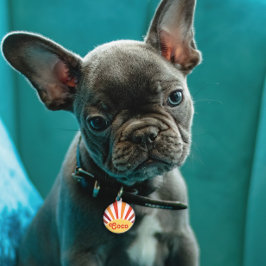 Placa Para Mascotas Nombre personalizado de Retro Sunset Sun Rays