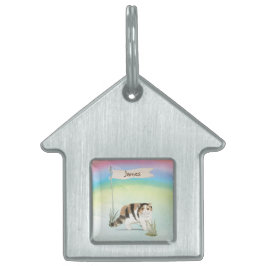Placa Para Mascotas Nombre personalizado gato exótico de pelo corto ma