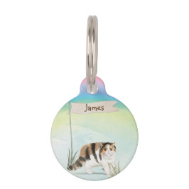 Placa Para Mascotas Nombre personalizado gato exótico de pelo corto ma