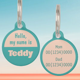 Placa Para Mascotas Nombre personalizado Hola Mi Nombre Es Verano Azul