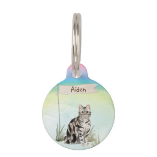 Placa Para Mascotas Nombre personalizado Mascota de pelo corto america