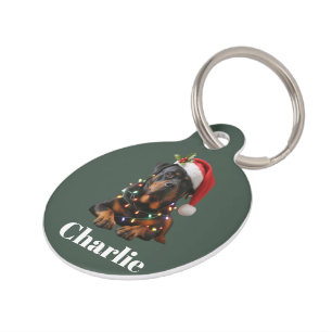 Placa Para Mascotas Nombre Personalizado Perro Rottweiler Navidad Pers
