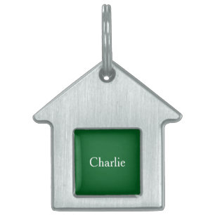 Placa Para Mascotas Nombre personalizado personalizado Foto Arte Forre
